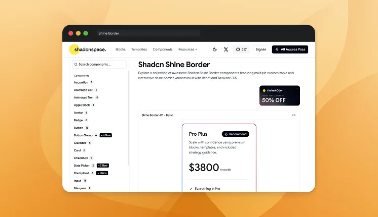 shadcn Shine Border